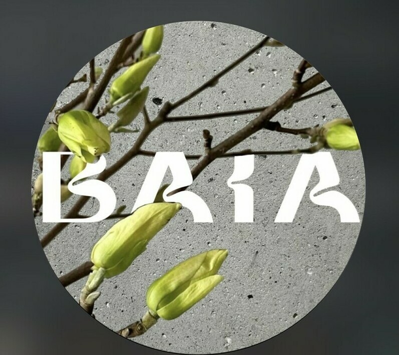 Главная: Ресторан «Baia Park» в Нальчике — современная кухня и отдых у озера в Долинске. Меню: Меню Baia Park: авторские завтраки, европейская кухня и блюда на мангале. Атмосфера: Baia Park — уютный ресторан в парковой зоне Нальчика для всей семьи. Контакты: Как найти ресторан Baia Park: адрес (ул. Канукоева, 2), телефон и режим работы. Расположение: «Современное здание ресторана Baia Park в живописном месте курортной зоны Долинск у берега озера». Терраса: «Стильная летняя терраса Baia Park с видом на парк и озеро — идеальное место для отдыха в Нальчике». Интерьер: «Светлый интерьер ресторана Baia Park: панорамные окна, натуральные материалы и много живой зелени». Завтраки/Бранчи: «Эстетичная подача завтрака в Baia Park: свежесваренный кофе, круассаны и авторские блюда из яиц». Вечерняя атмосфера: «Уютное вечернее освещение в ресторане Baia Park — теплая атмосфера для семейного ужина». Блюда на гриле: «Аппетитные блюда на гриле и свежие салаты из сезонных продуктов в меню Baia Park».