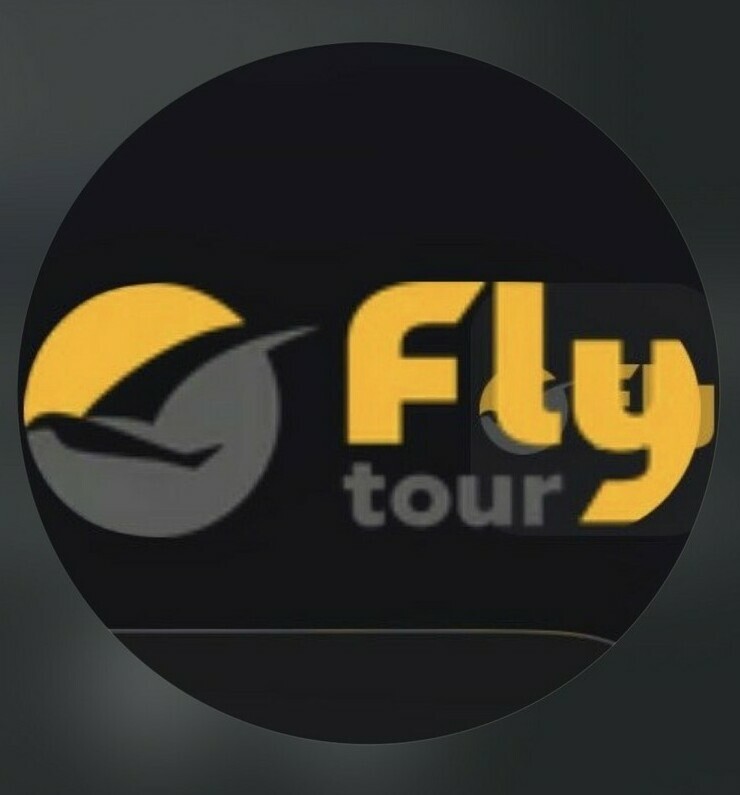 Логотип турагентства Flytour в Нальчике — профессиональный подбор туров и путешествий