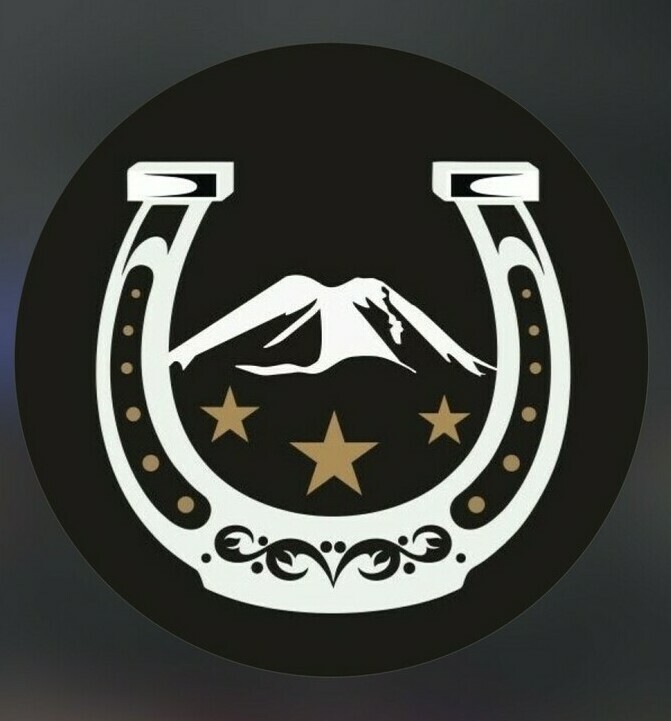 Логотип Бизнес-отеля Нальчик — фасад главной гостиницы Кабардино-Балкарской Республики на проспекте Шогенцукова напротив Дома Правительства КБР.