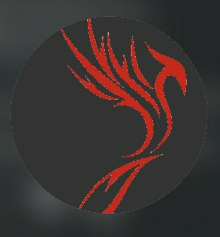 Логотип туристического агентства Феникс в Нальчике — подбор горящих туров и путевок.