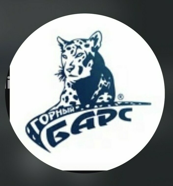 Логотип туристического агентства Барс в Нальчике — организация отдыха и подбор туров.