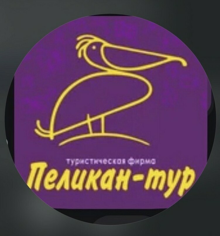 Логотип туристической компании Пеликан-тур в Нальчике — подбор туров и авиабилетов
