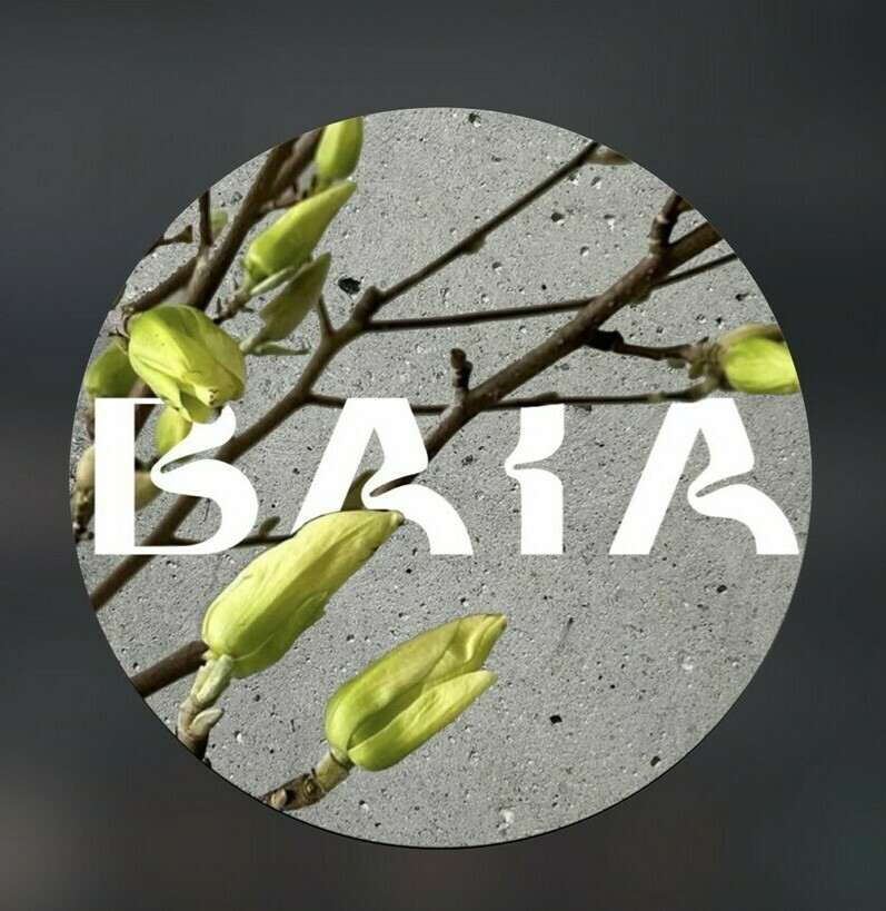 Главная: Ресторан «Baia Park» в Нальчике — современная кухня и отдых у озера в Долинске. Меню: Меню Baia Park: авторские завтраки, европейская кухня и блюда на мангале. Атмосфера: Baia Park — уютный ресторан в парковой зоне Нальчика для всей семьи. Контакты: Как найти ресторан Baia Park: адрес (ул. Канукоева, 2), телефон и режим работы. Расположение: «Современное здание ресторана Baia Park в живописном месте курортной зоны Долинск у берега озера». Терраса: «Стильная летняя терраса Baia Park с видом на парк и озеро — идеальное место для отдыха в Нальчике». Интерьер: «Светлый интерьер ресторана Baia Park: панорамные окна, натуральные материалы и много живой зелени». Завтраки/Бранчи: «Эстетичная подача завтрака в Baia Park: свежесваренный кофе, круассаны и авторские блюда из яиц». Вечерняя атмосфера: «Уютное вечернее освещение в ресторане Baia Park — теплая атмосфера для семейного ужина». Блюда на гриле: «Аппетитные блюда на гриле и свежие салаты из сезонных продуктов в меню Baia Park».