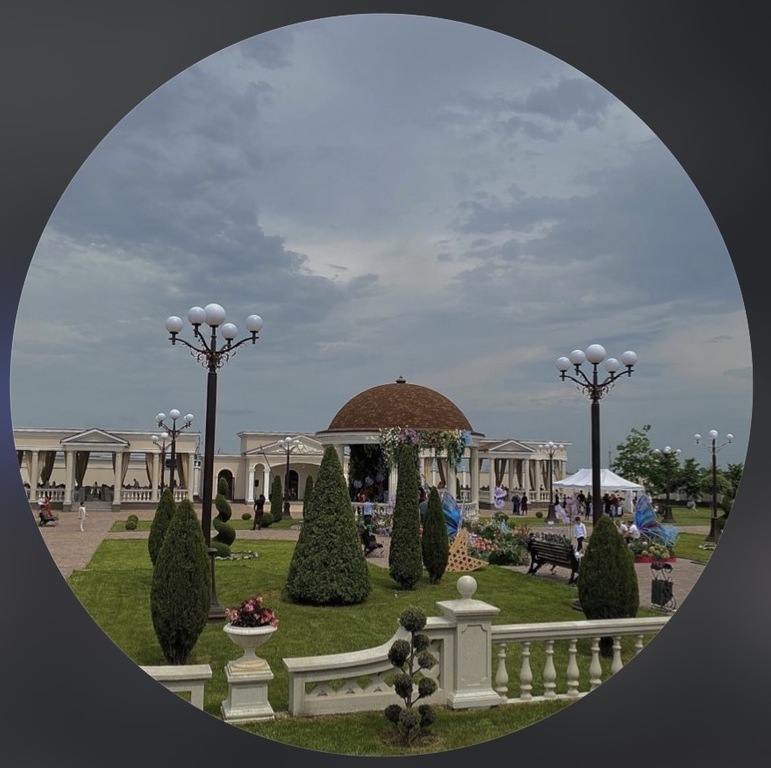 Березка&nbsp;